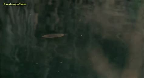 Vagina Dentada Legendado PT BR