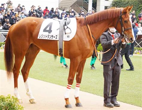 12月28日中山競馬⭐︎4r⭐︎2歳未勝利⭐︎レジットダンサーズ⭐︎登録抹消 公式：黒澤ひかりのキラキラ日記～magic Kiss