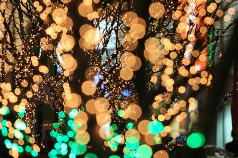 Busan Christmas Tree Festival 부산크리스마스트리문화축제 TRIPPOSE