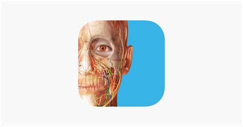 ‎human Anatomy Atlas 2024 On The App Store