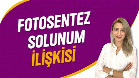 Fotosentez ve Solunum İlişkisi Seda Hoca Biyoloji 31 Ders