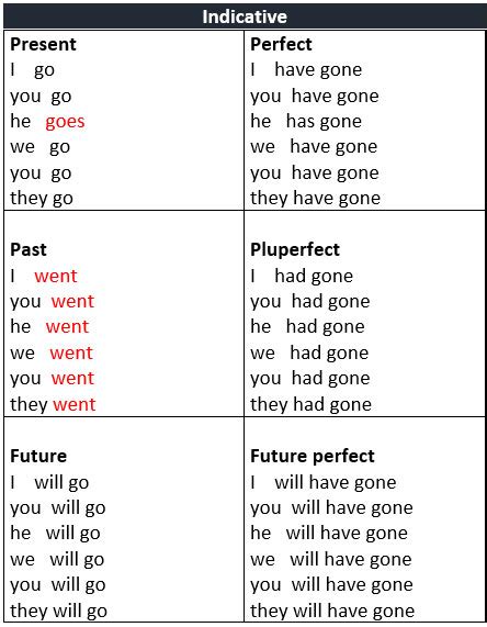 Go Conjugated In All Tenses