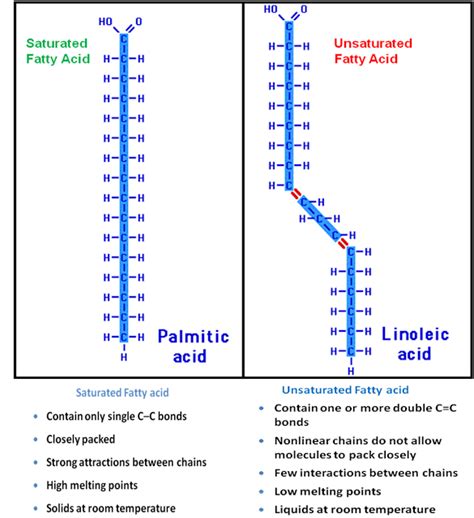 Biochemistry Notes Classification Of Lipids Differences Between