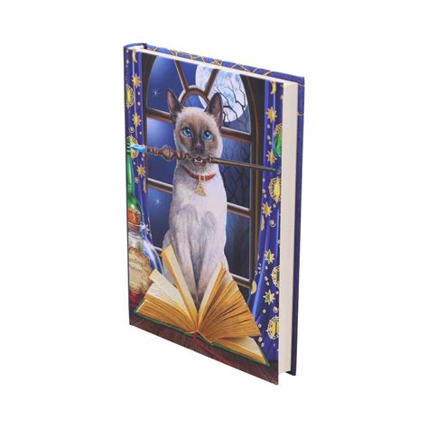 Lisa Parker Hocus Pocus Journal Nemesis Now Wholesale Tware