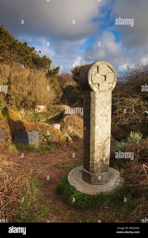 cornish cross  res stock photography  images alamy