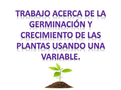 Ppt Trabajo Acerca De La Germinaci N Y Crecimiento De Las Plantas