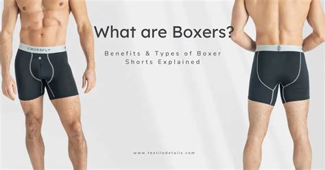 What Are Boxers: Benefits & Types Of Boxer Shorts Explained - Textile ...