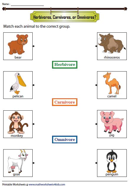 Herbivores Carnivores And Omnivores Worksheets Omnivores Activities