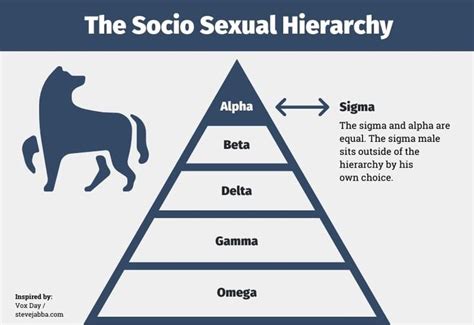 The Sigma Male Explained Understanding The Lone Wolf Sigma Male