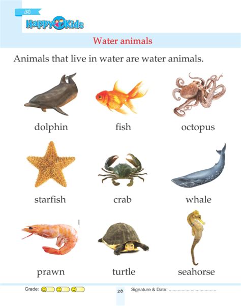 List Of Water Animals Names With Pictures