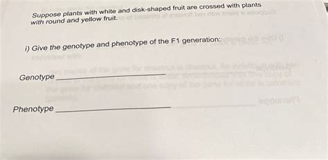 Solved Suppose Plants With White And Disk Shaped Fruit Are Chegg