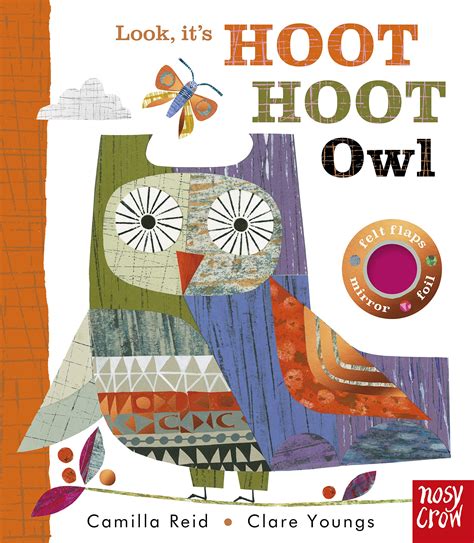 Amazon.com: Look, It's Hoot Hoot Owl (Look, It's…, 3): 9798887770154