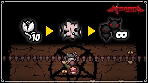 【아이작】tm트레이너가 사기템인 이유 The Binding Of Isaac Repentance Youtube