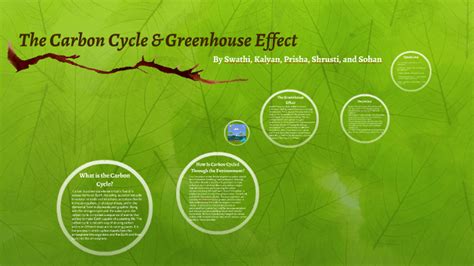 The Carbon Cycle & Greenhouse Effect by swathi doddapaneni on Prezi