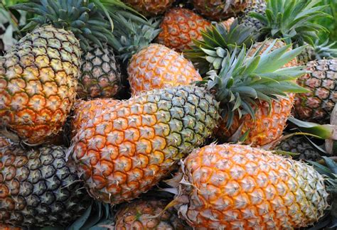 Organic Fruits Africa Pineapples Jewel Safaris