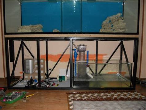 Морской аквариум +Видео | Дом32инфо