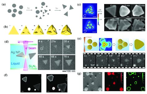 Plasmon Assisted Growth Of Plasmonic Nanostructures A Schematic