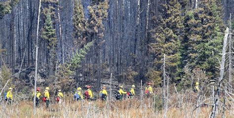 GLOBE-Net Joining forces: How collaboration can help tackle Canada’s ...