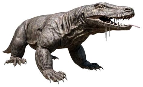 Megalania Varanus Priscus Megalania Prisca Dinoanimalspl