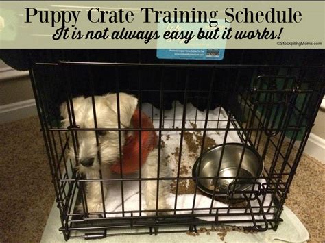 Puppy Crate Training Schedule