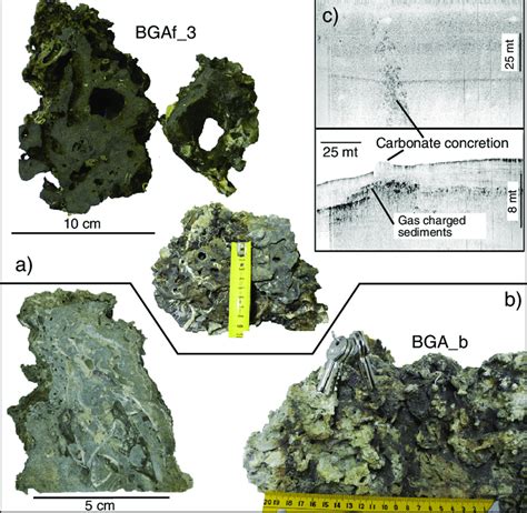 Carbonate Concretions From The Bonaccia Area A Bgaf Shows A Vuggy