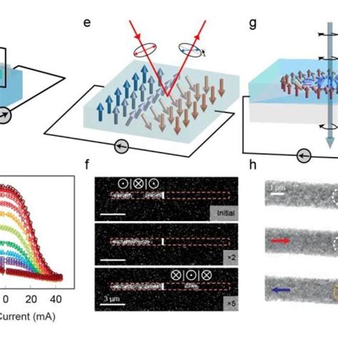 State Space Representations And Transport Equations Of Spintronic