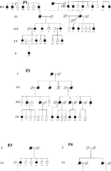 Figure 1 From Japanese Families With Autosomal Dominant Pure Cerebellar