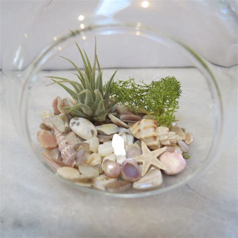 Hanging Glass Airplant Terrarium DIY Kit Beach Scene Etsy Canada