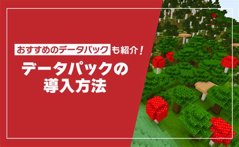 【マイクラ】データパックの入れ方！ローカルとサーバーへの導入方法 ゼロから始めるマイクラサーバー運用ガイド