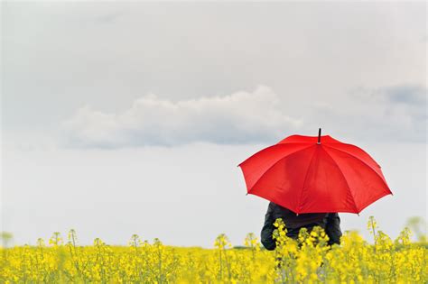 Synoptyk IMGW w nocy mniej burz deszcz może spaść w całym kraju