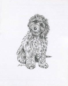 Labradoodle Drawing Goldendoodle Art Labradoodle Miniature Black