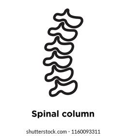 Spinal Column Icon Vector Isolated On Stock Vector Royalty Free