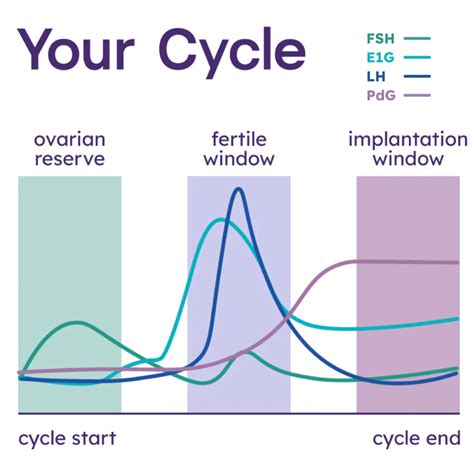 Proov Complete Full Cycle Hormone Test Kit The Femtech Revolution