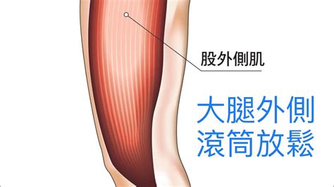 大腿外側 股外側肌 闊筋膜張肌 滾筒放鬆 Youtube