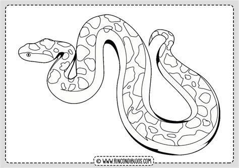 Serpiente Boa Dibujo - Rincon Dibujos