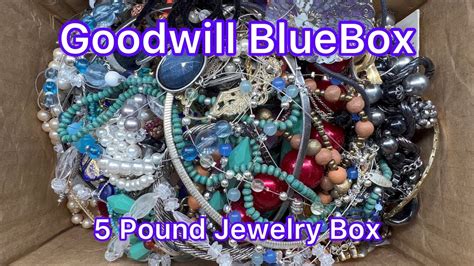 Goodwill BlueBox 5 Pound Mystery Jewelry Box Nashville Avon Sterling