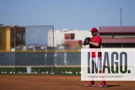 MLB Baseball Herren USA Spring Training Cincinnati Reds Workouts Feb