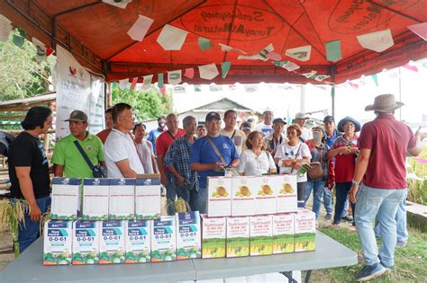 Pia Da Encourages Calabarzon Farmers To Use New Hybrid Rice Varieties