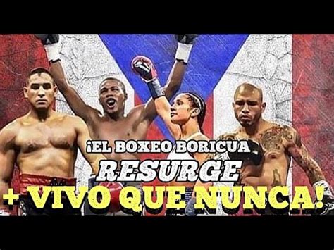 Puerto Rico Se Levanta Y Vuelve A Ser Potencia En El Boxeo Con