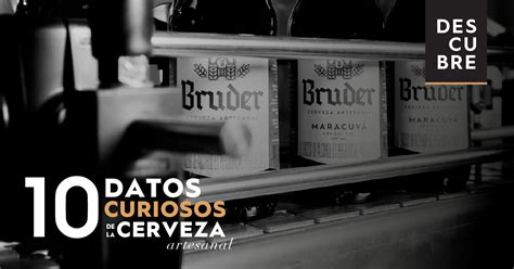 Datos Curiosos De La Cerveza Artesanal Bruder Cervecer A Artesanal