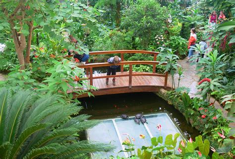 Mariposario del Drago-Tenerife | Butterfly park located in Islas Canarias