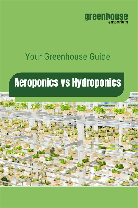 Aeroponics Vs Hydroponics - Which Is The Better Method?