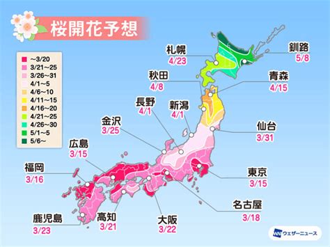 تعرف على مواعيد تفتح أزهار الساكورا في اليابان خلال 2022 • مجلة اليابان
