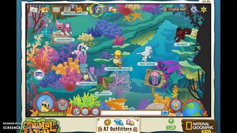 Where To Find Everything In Crystal Reef Animal Jam Youtube