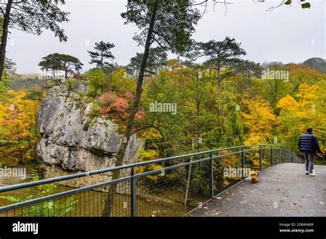 Baden Valley Helenental River Schwechat Rock Urtelstein Bridge