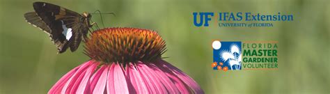 Master Gardeners Marion County University Of Florida Institute Of