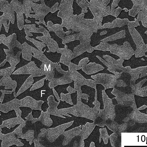 Sem Micrograph Of The Steel Used F Ferrite M Martensite