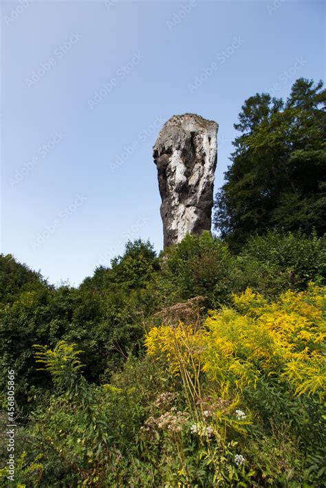 Maczuga Herkulesa Ojcowski Park Narodowy Stock Photo Adobe Stock