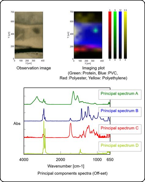 advanced imaging data analysis  model analysis jasco global