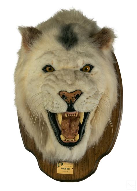 Bid Now African Lion Head Mounted Faux Taxidermy Wall Bust March 3